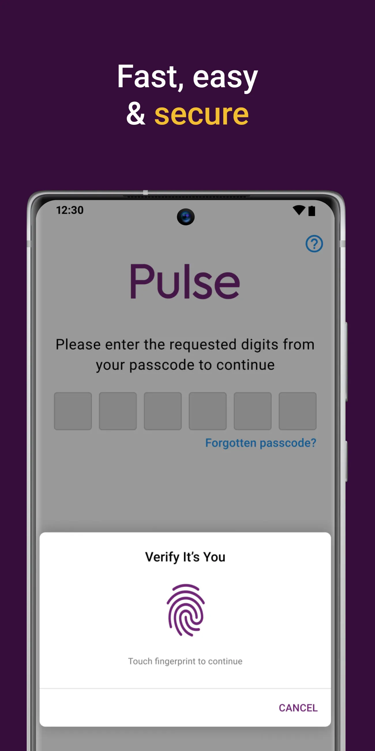 Pulse Card