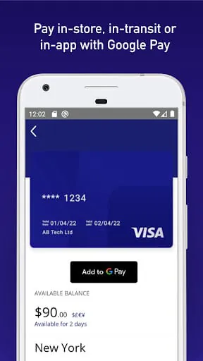 Visa Commercial Pay