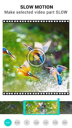 Video Speed Changer: SlowMo