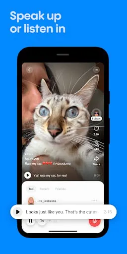 Stereo: Speak Up & Share