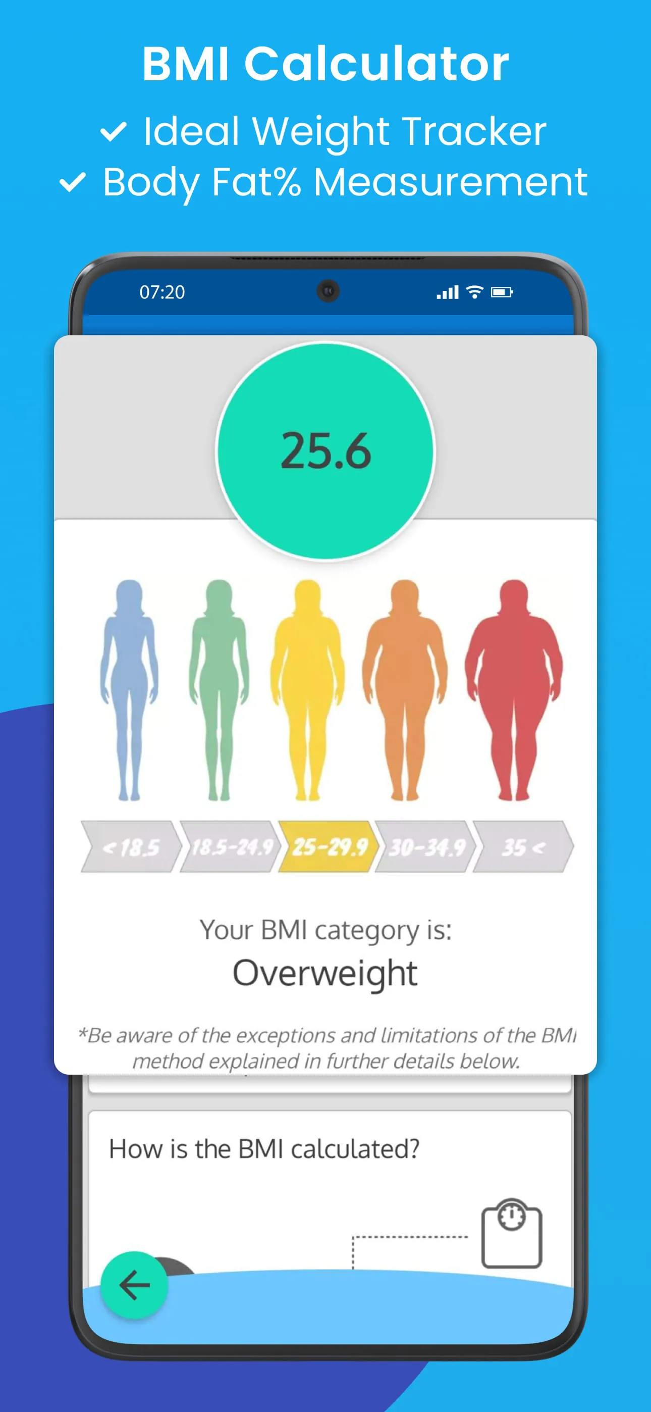 Body Measurements Tracker, BMI