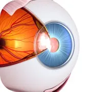 Vision Workout : Eye Training
