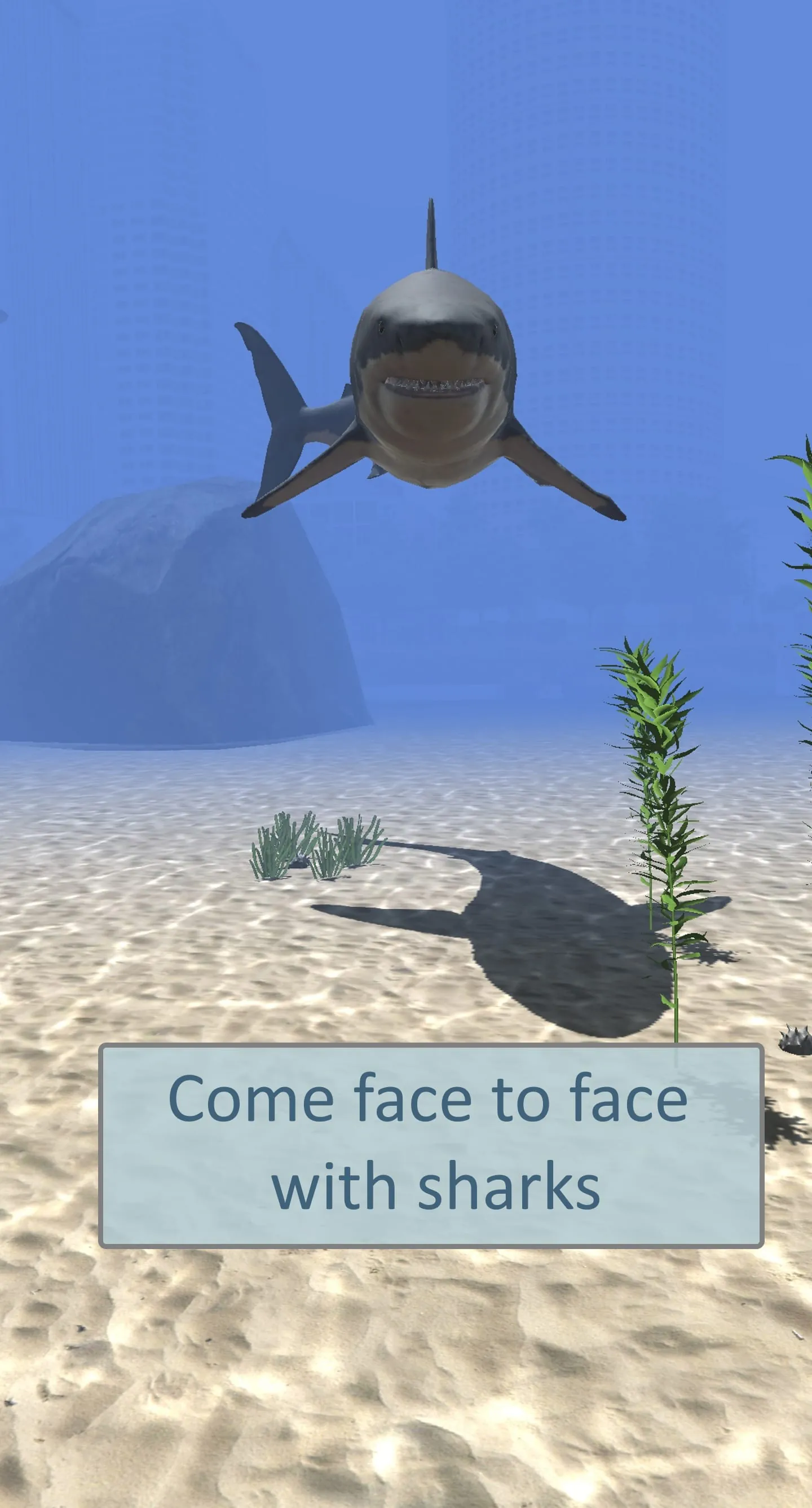 Ocean View AR - Underwater Exp