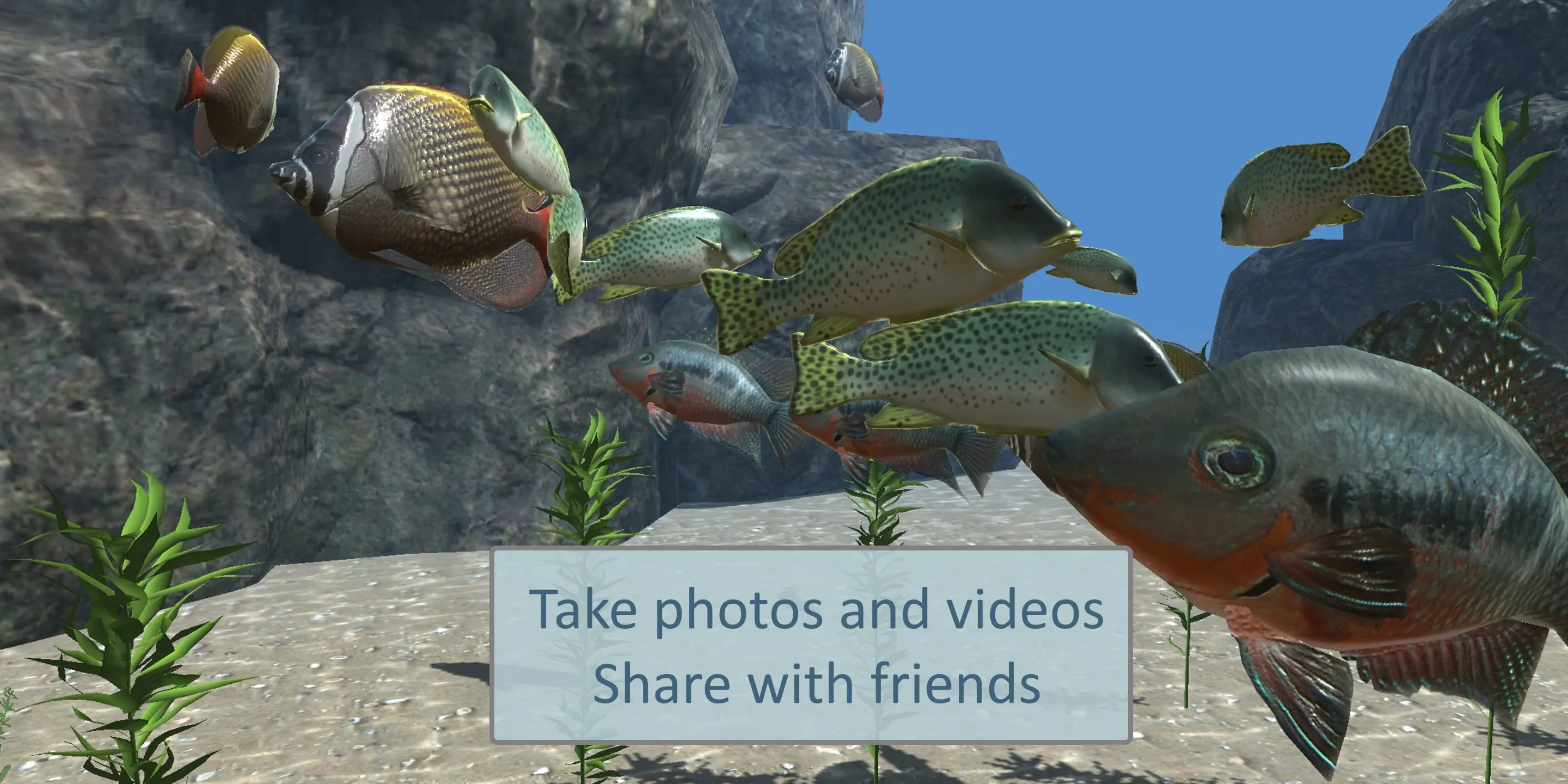 Ocean View AR - Underwater Exp