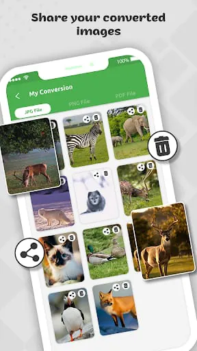Heic to JPG|PNG|PDF Converter