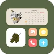 Widget 2025: Aesthetic Widgets