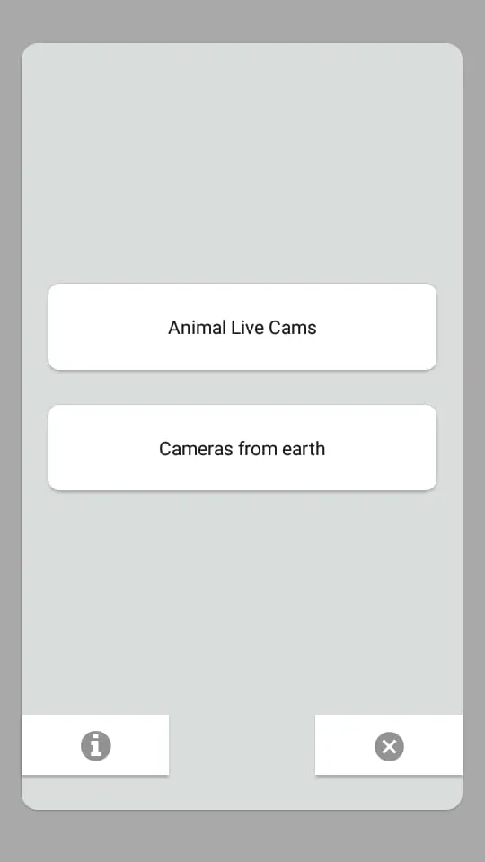 Animal Live Cams