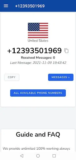 SMS Receive, Temp Phone Number