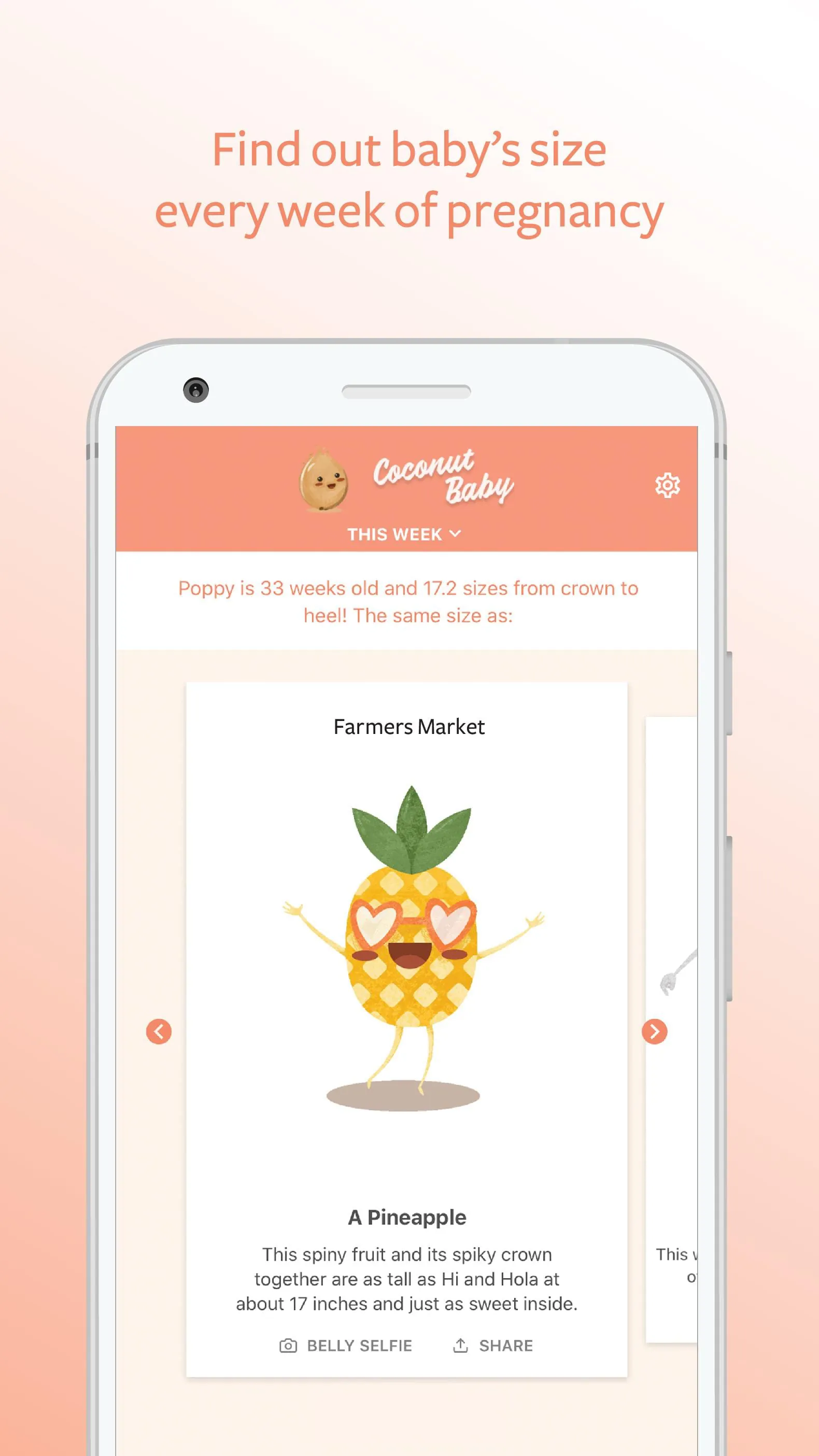 Coconut Baby: Pregnancy App