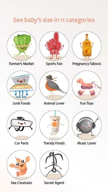 Coconut Baby: Pregnancy App