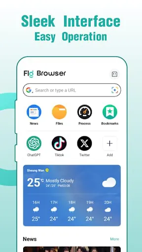Fly Browser-Search & Private