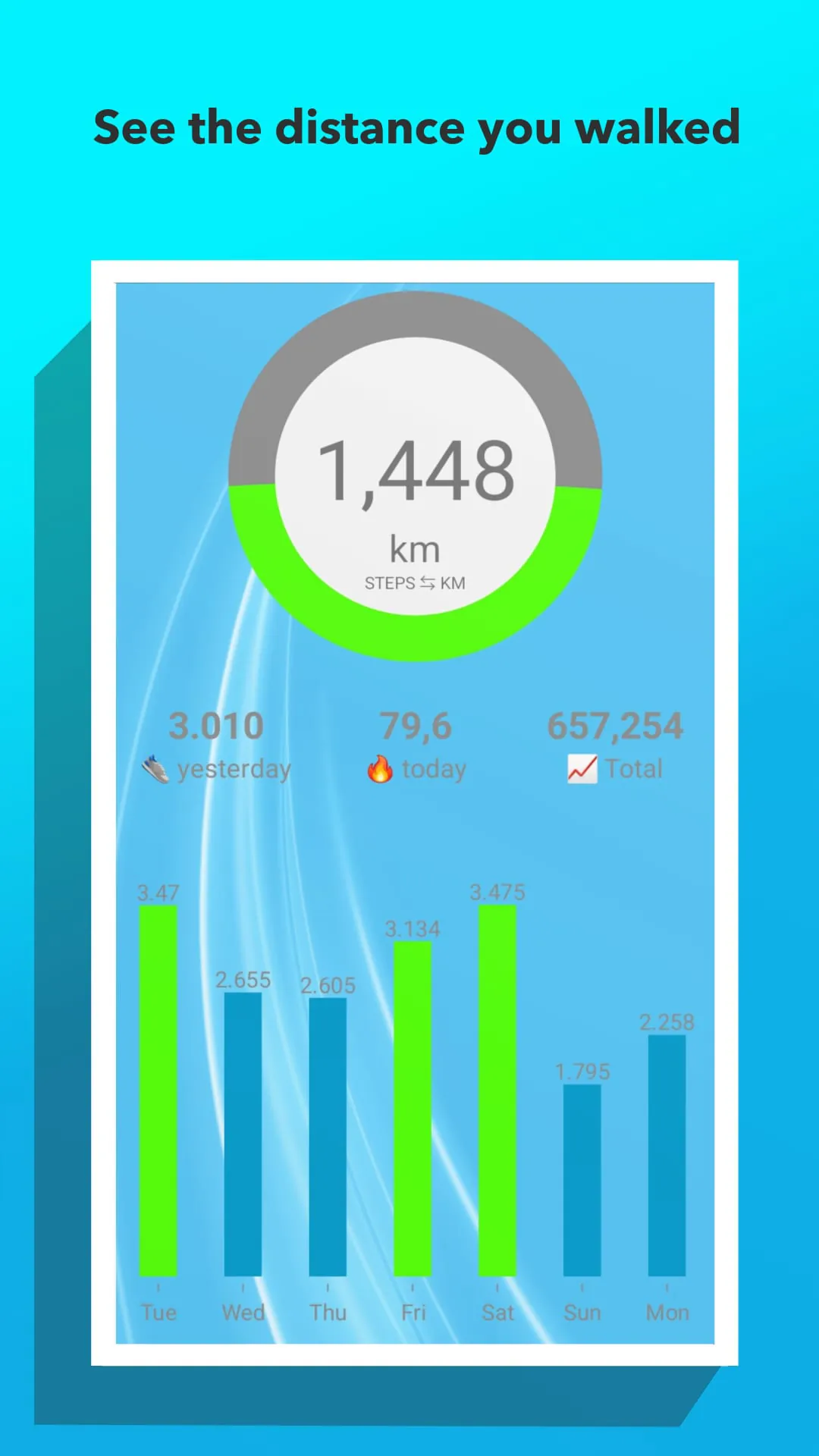 Pedometer - step counter