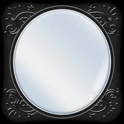 Mirror - Zoom & Exposure -