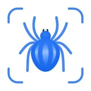 Picture Insect: Bug Identifier