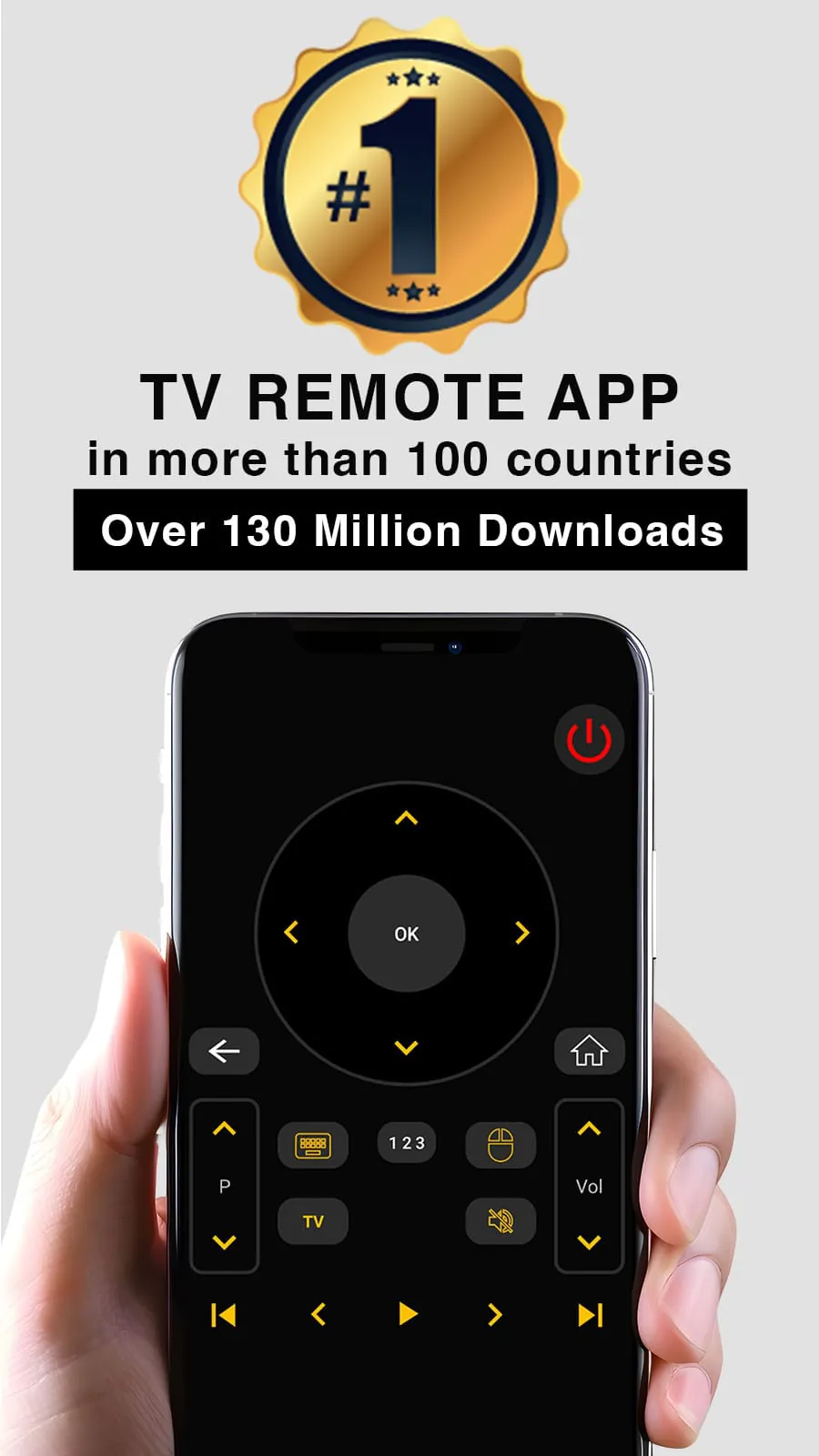 Universal TV Remote Control