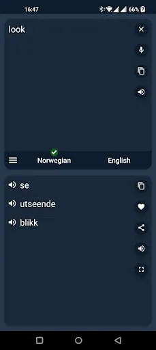 Norwegian - English Translator