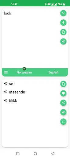 Norwegian - English Translator