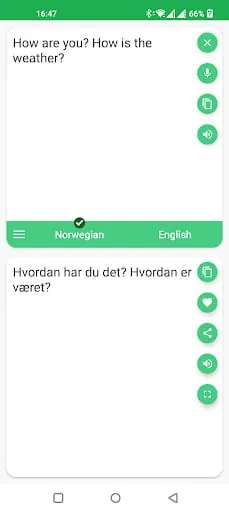 Norwegian - English Translator