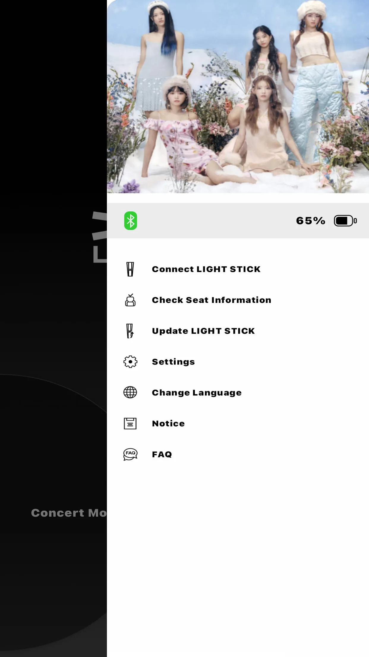 LE SSERAFIM Light Stick