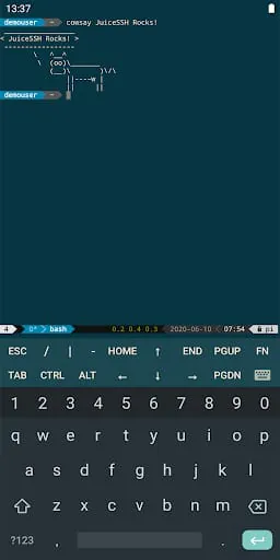 JuiceSSH - SSH Client