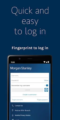 Morgan Stanley Wealth Mgmt