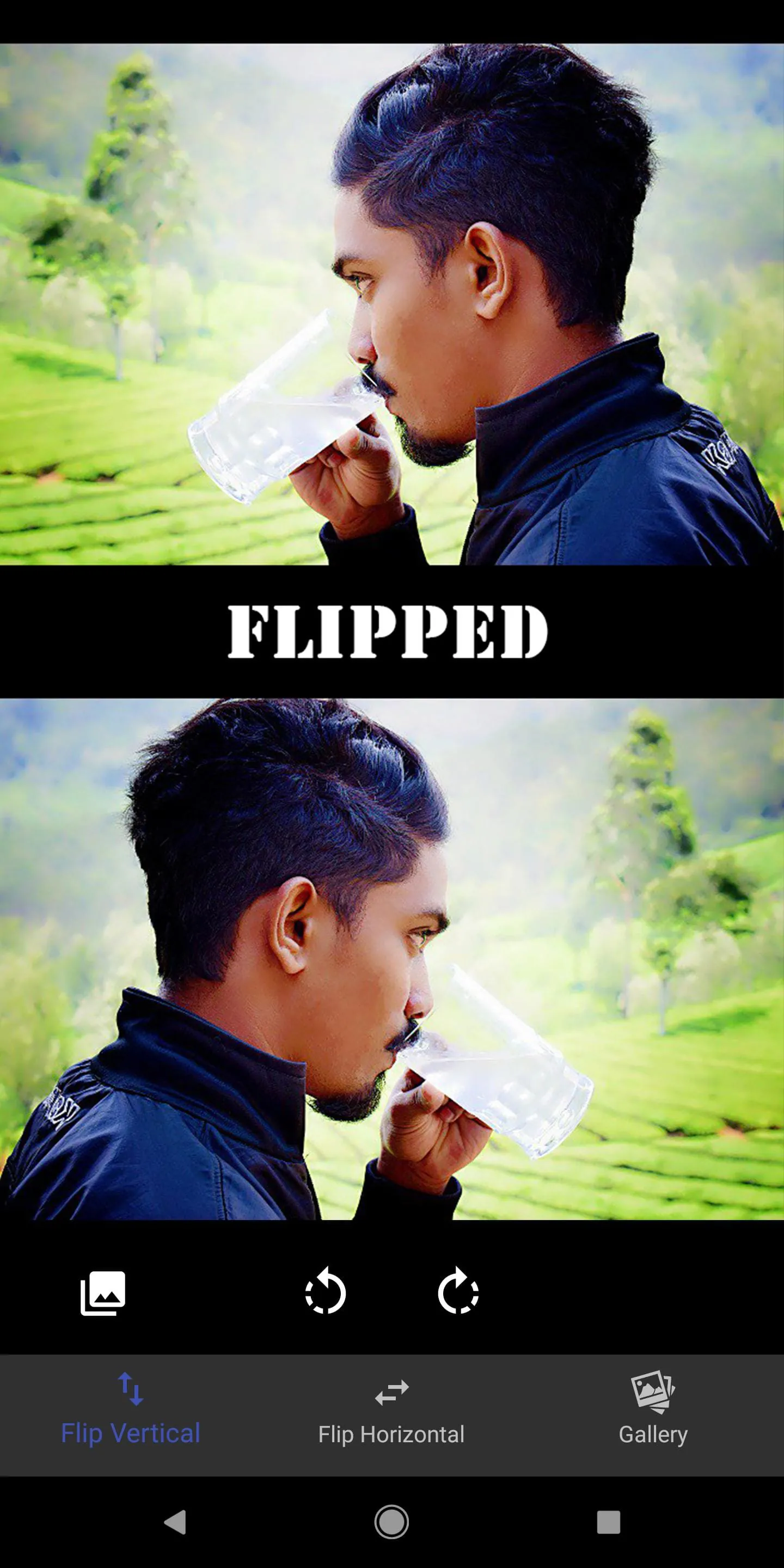 Flip Image - Mirror Image