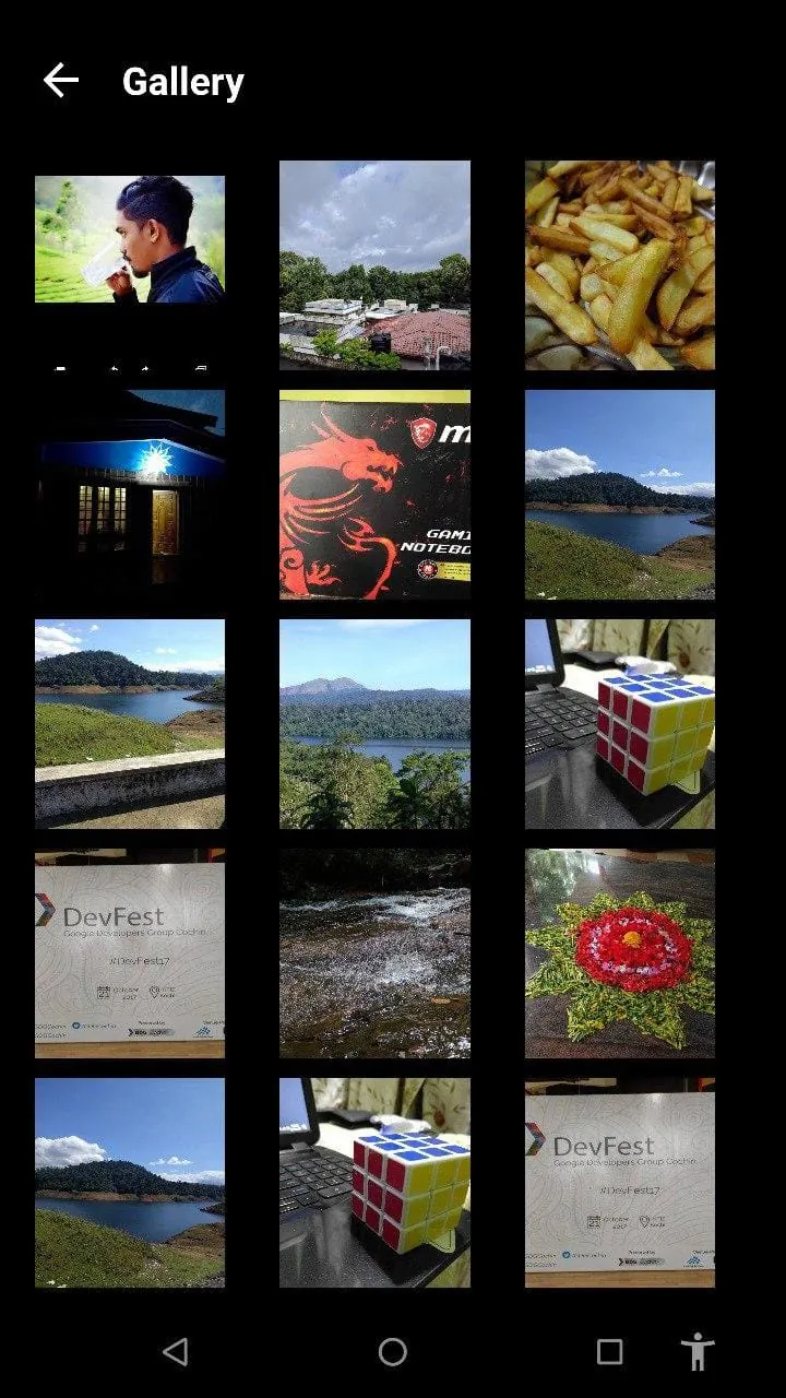 Flip Image - Mirror Image