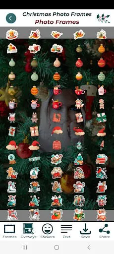 Christmas Photo Frames