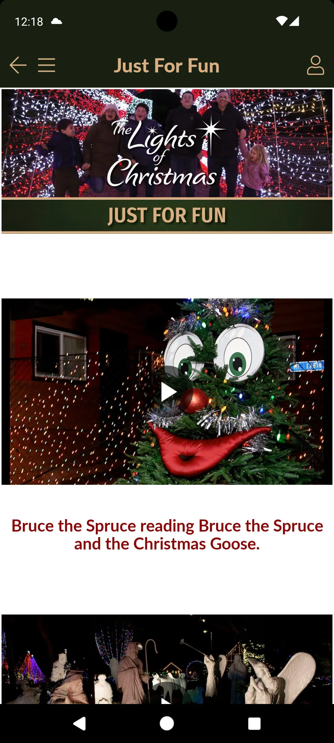 The Lights of Christmas