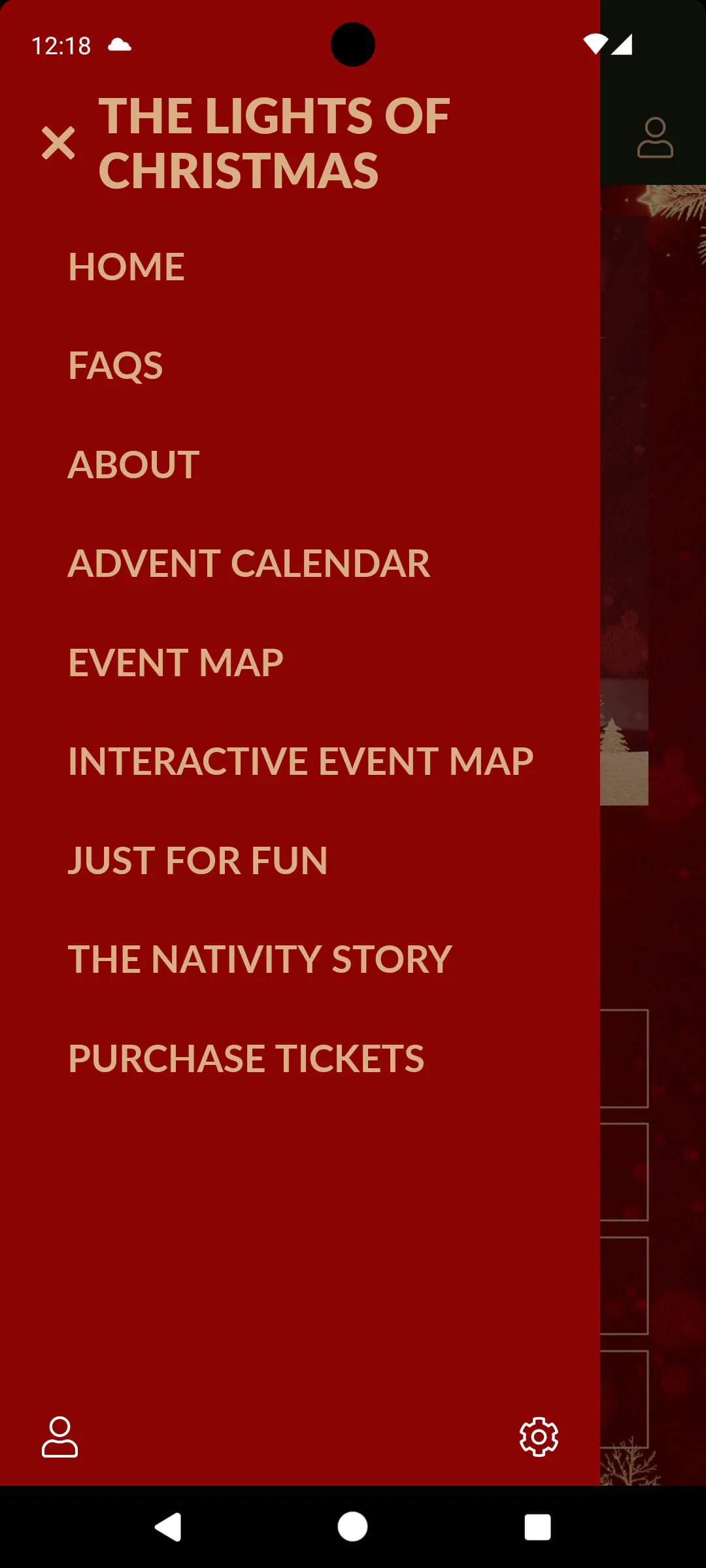 The Lights of Christmas