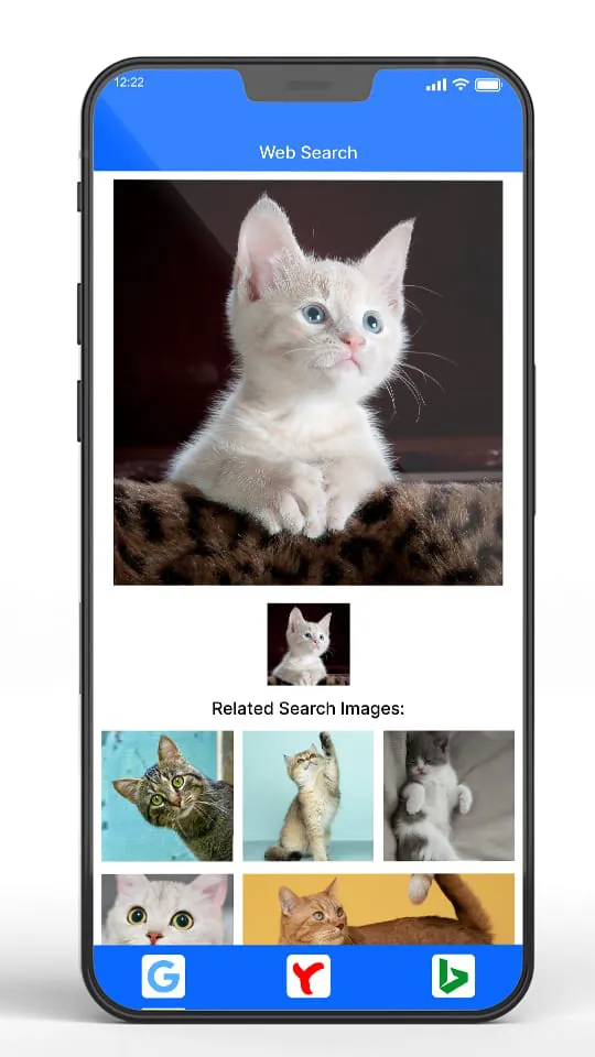 Reverse image search:image app