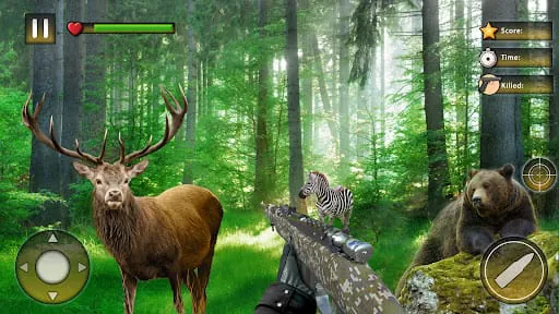 Wild Animal Hunting Games
