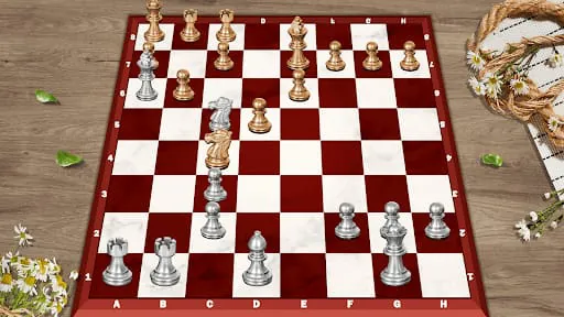Chess - Classic Chess Offline