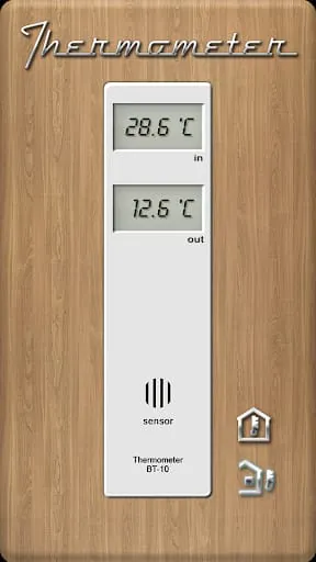 Thermometer - Indoor & Outdoor