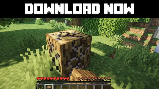 Mod Master for Minecraft MCPE