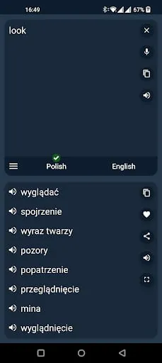 Polish - English Translator