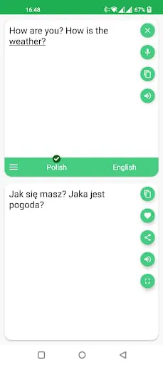 Polish - English Translator