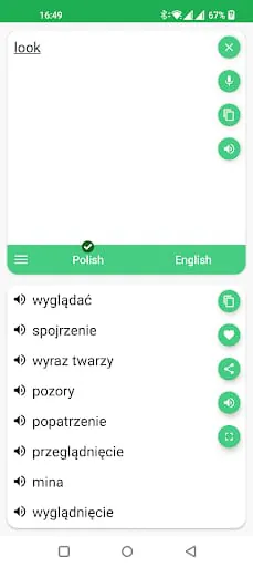 Polish - English Translator
