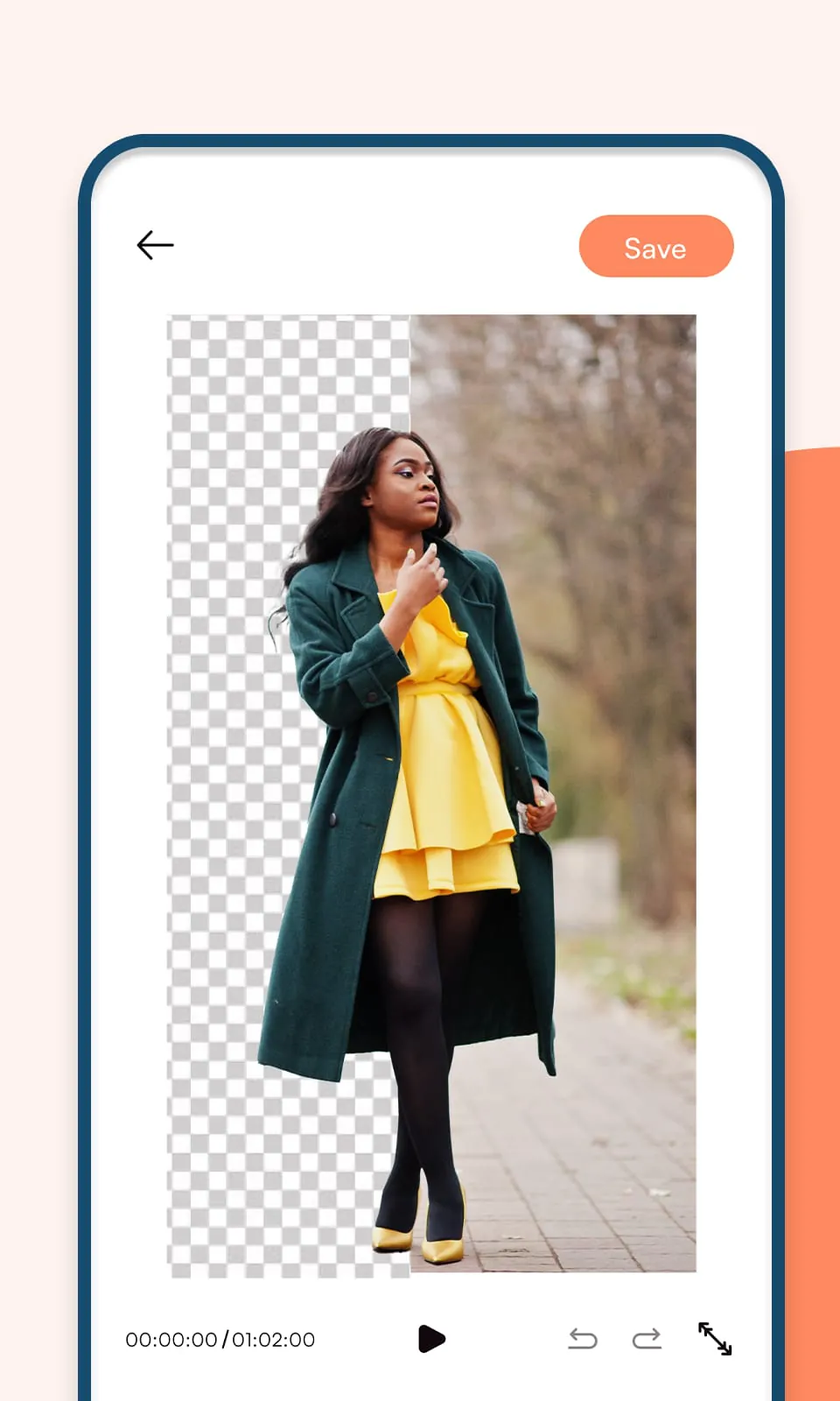 Video Background Remover WiKi