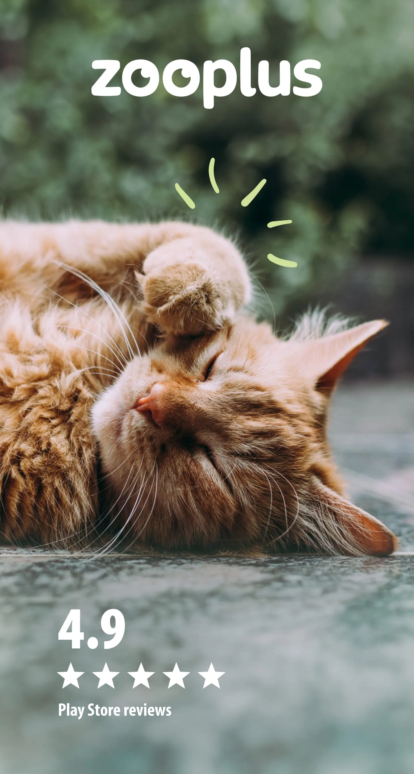 zooplus - online pet shop