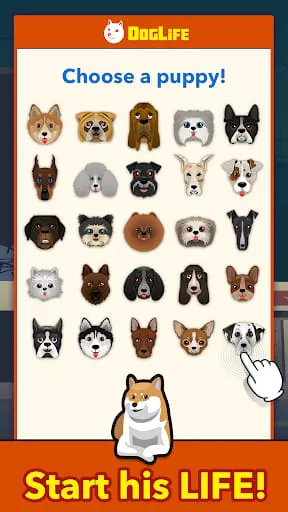 BitLife Dogs – DogLife