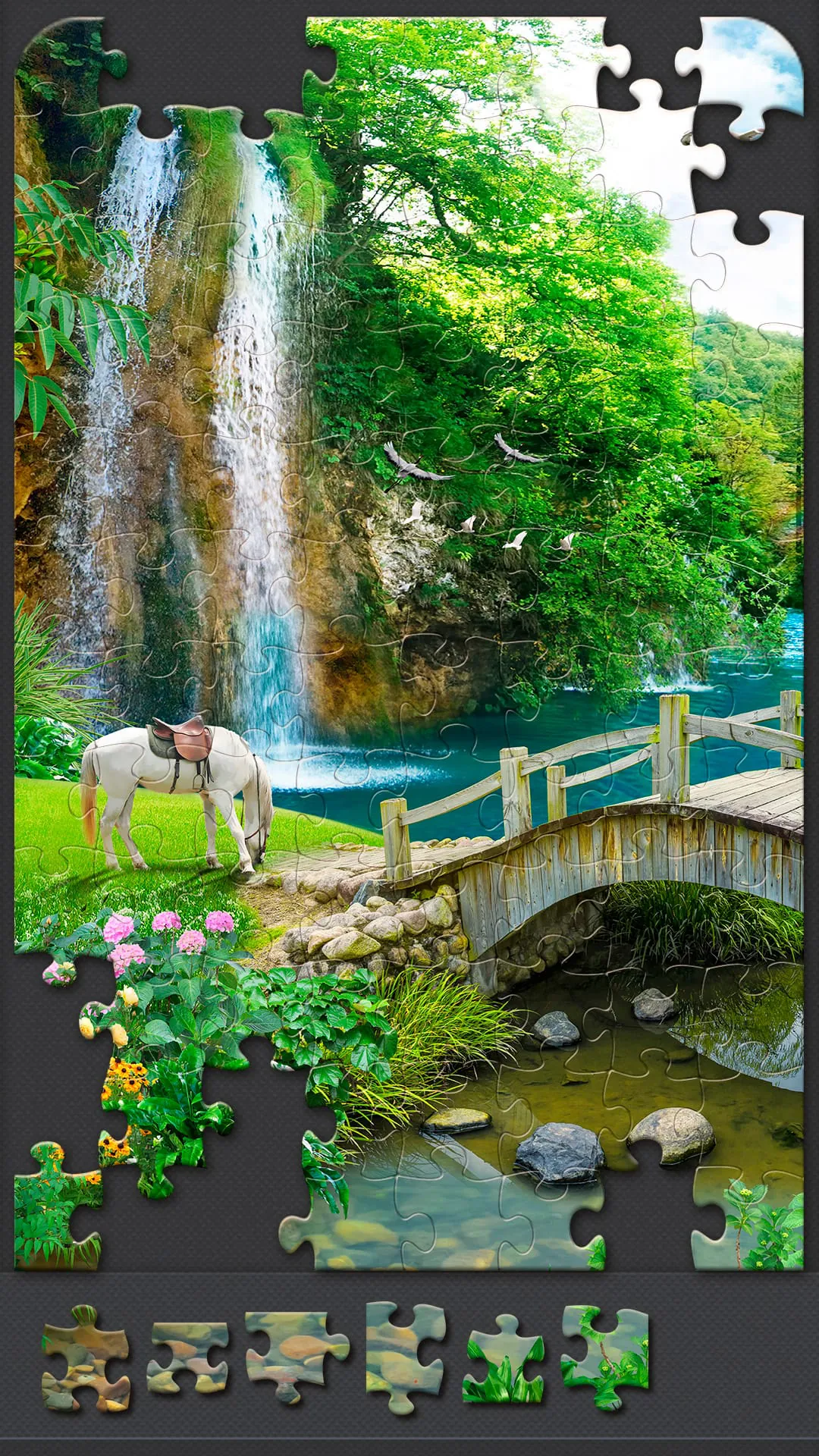 Jigsaw Puzzles for Adults