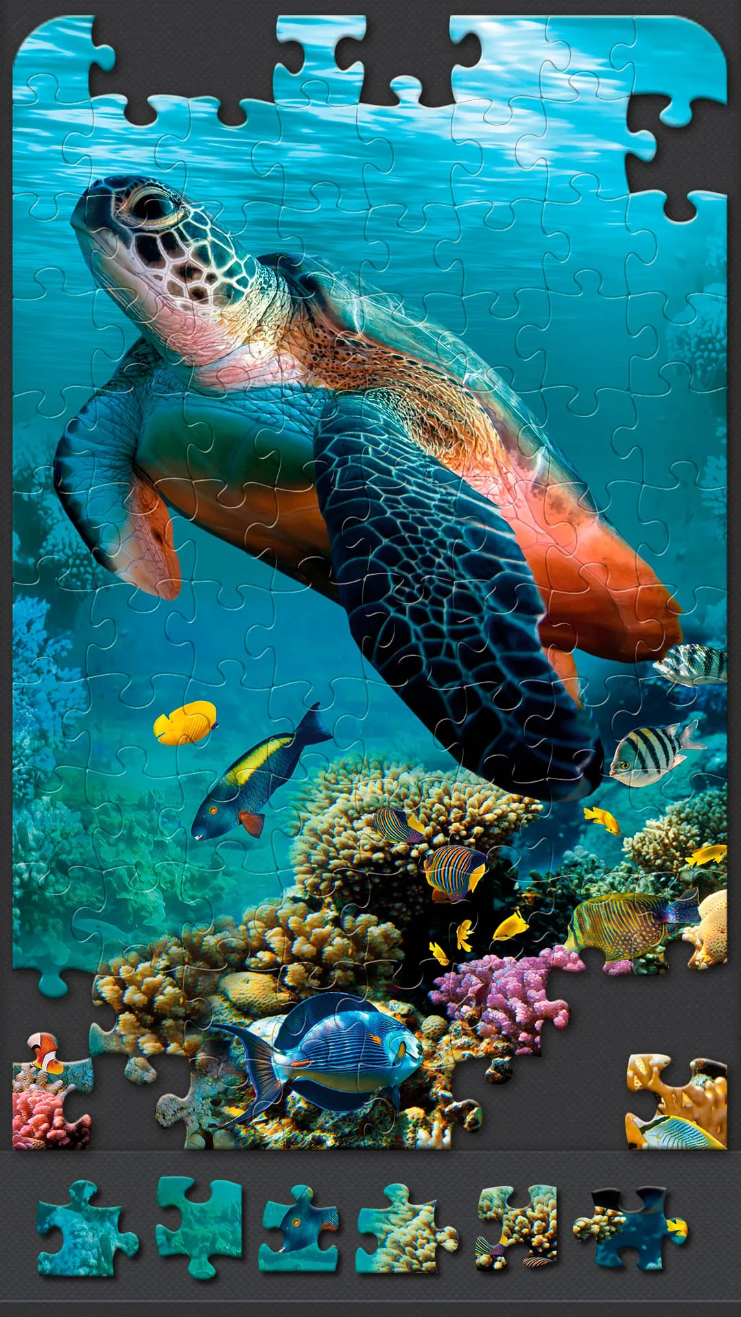 Jigsaw Puzzles for Adults