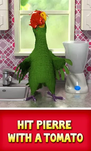 Talking Pierre the Parrot