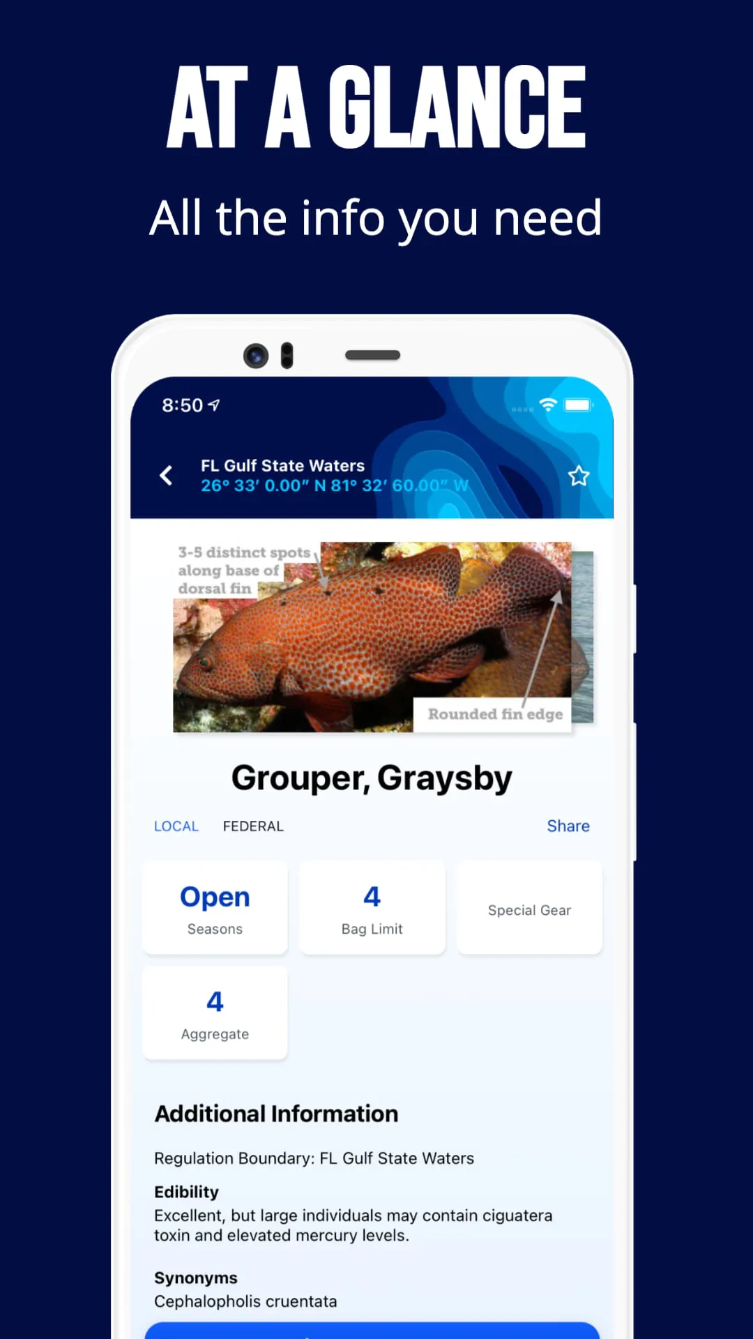 Fish Rules: Fishing App