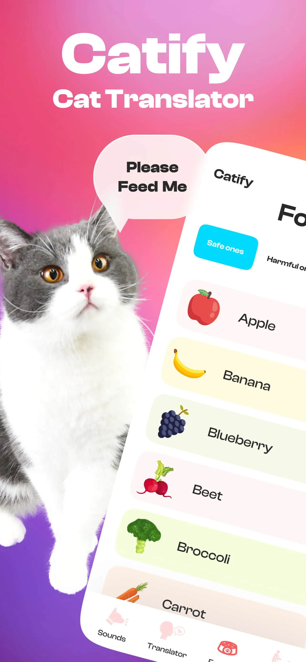 Catify: Cat Translator