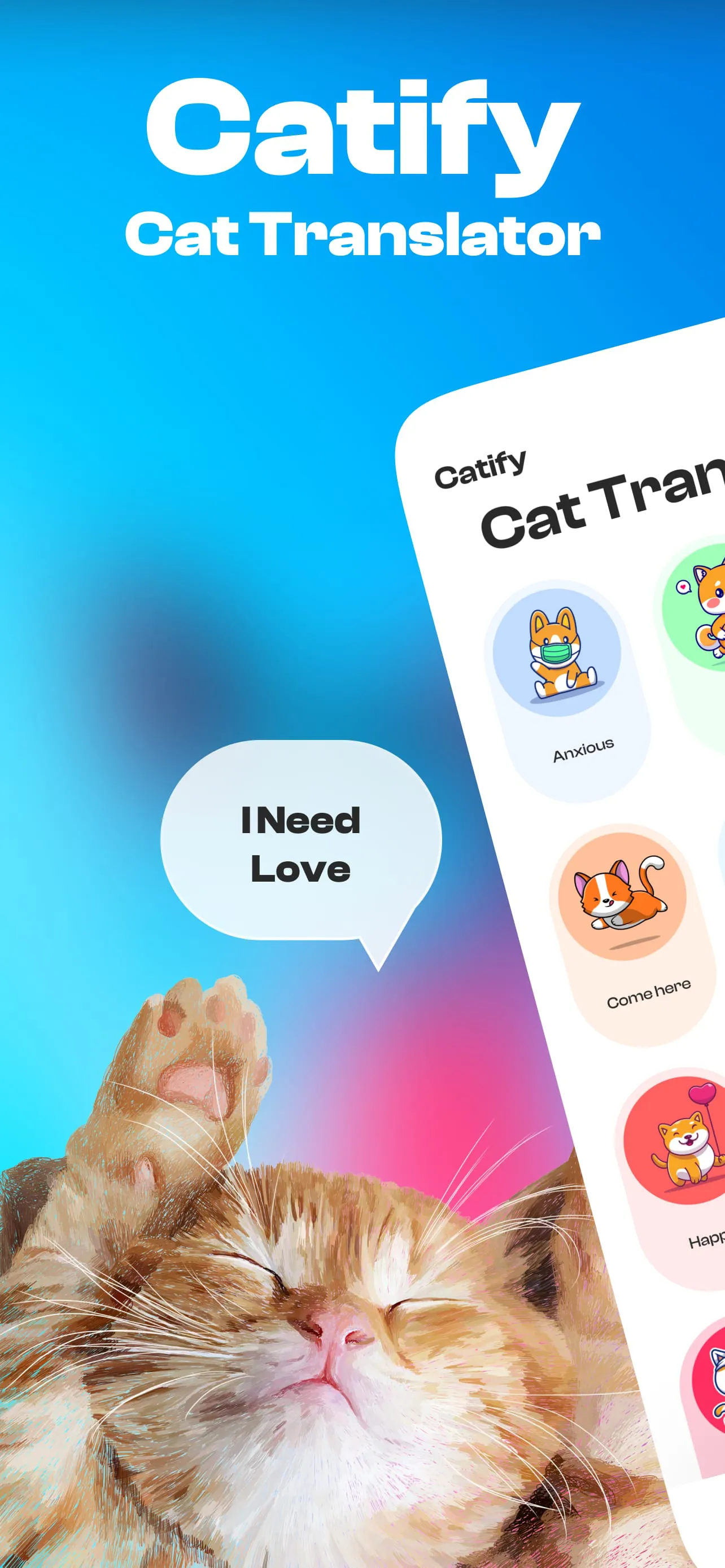Catify: Cat Translator