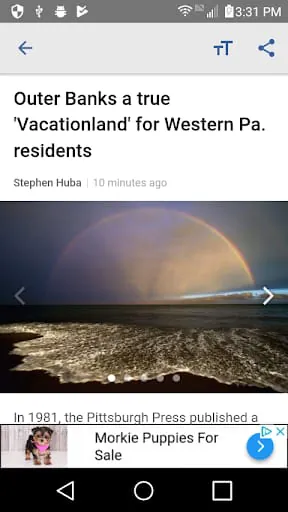 TribLive News and Sports