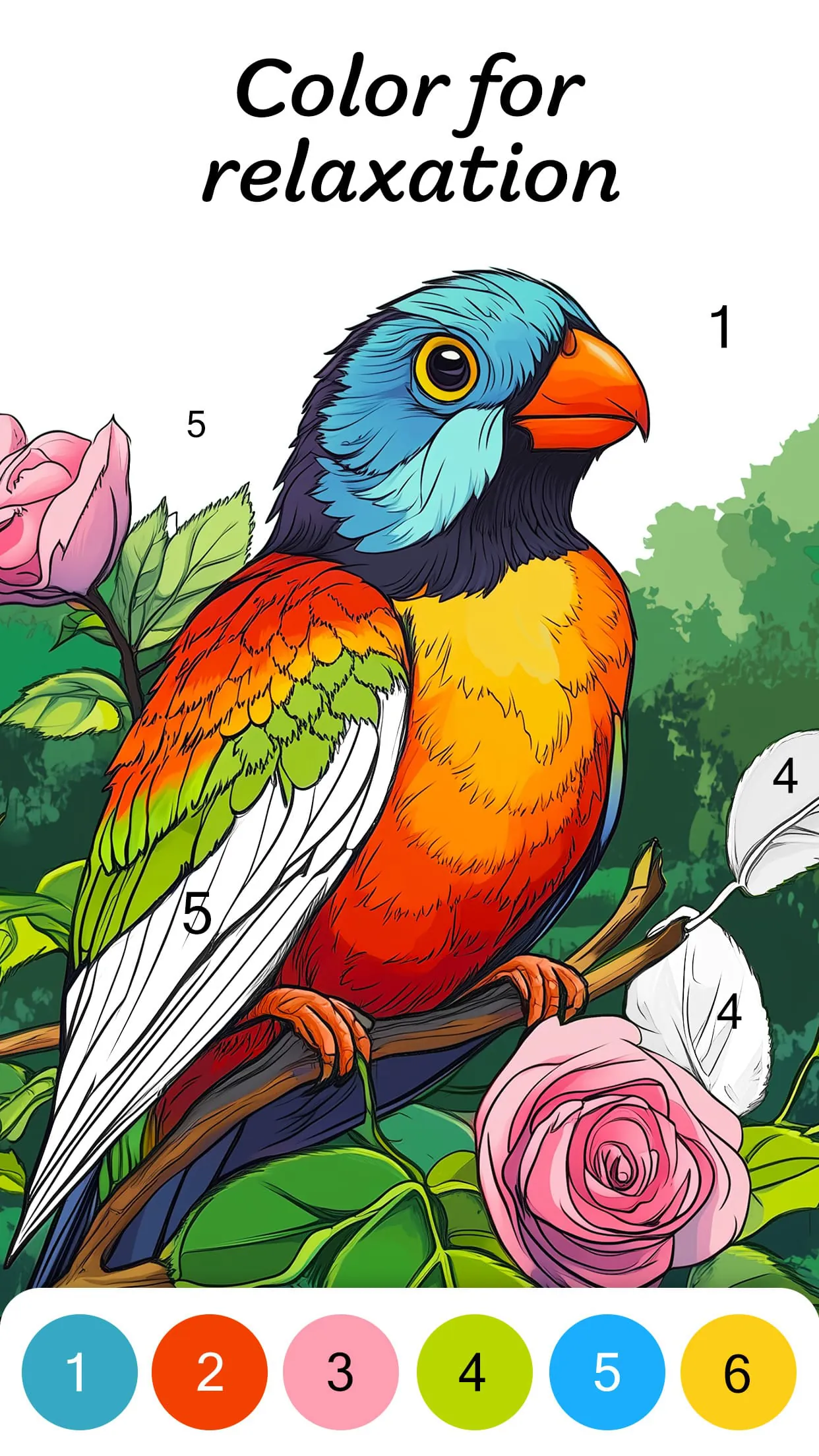 Color by Number for Adults