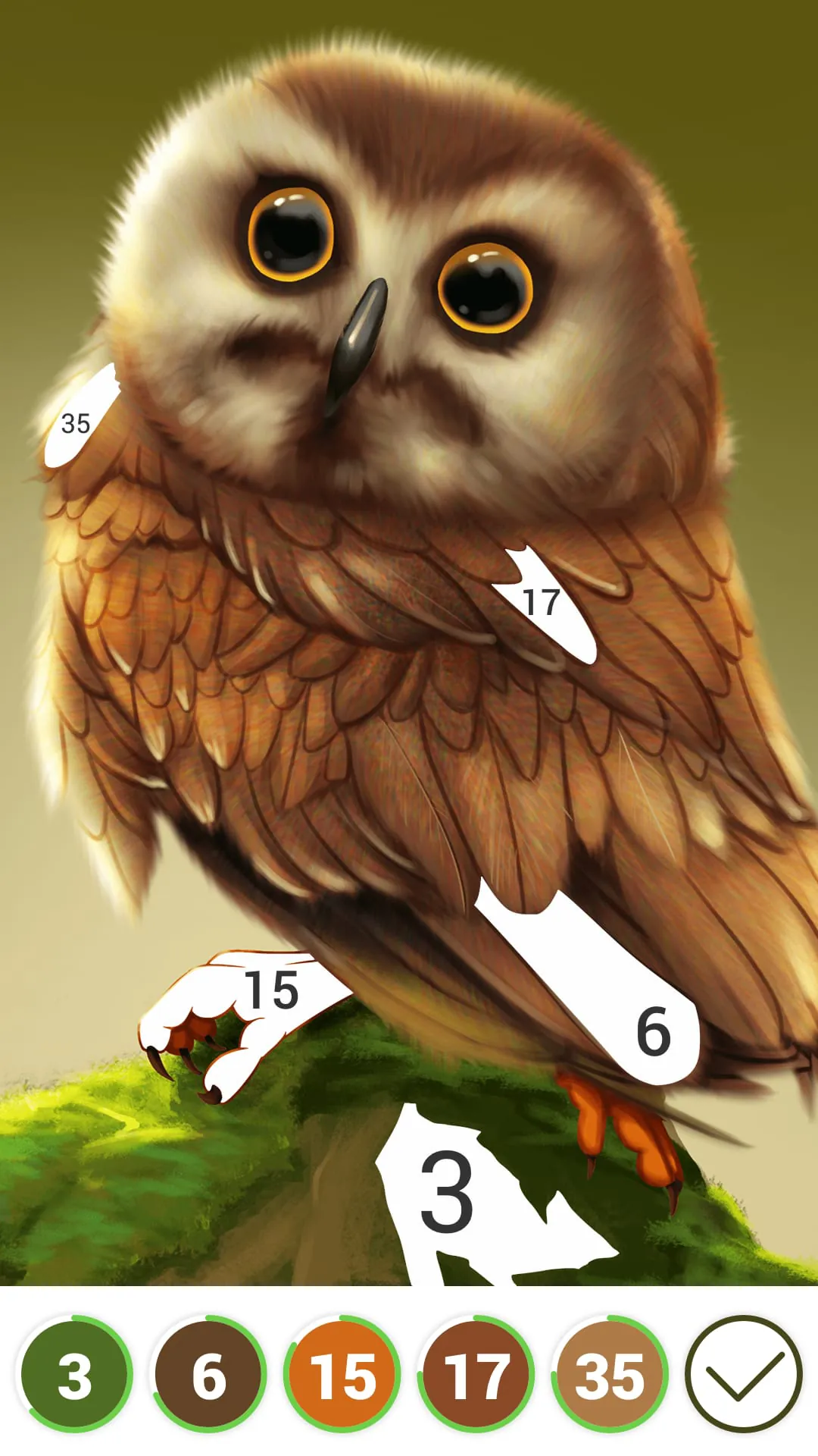 Hola Color--Coloring by Number